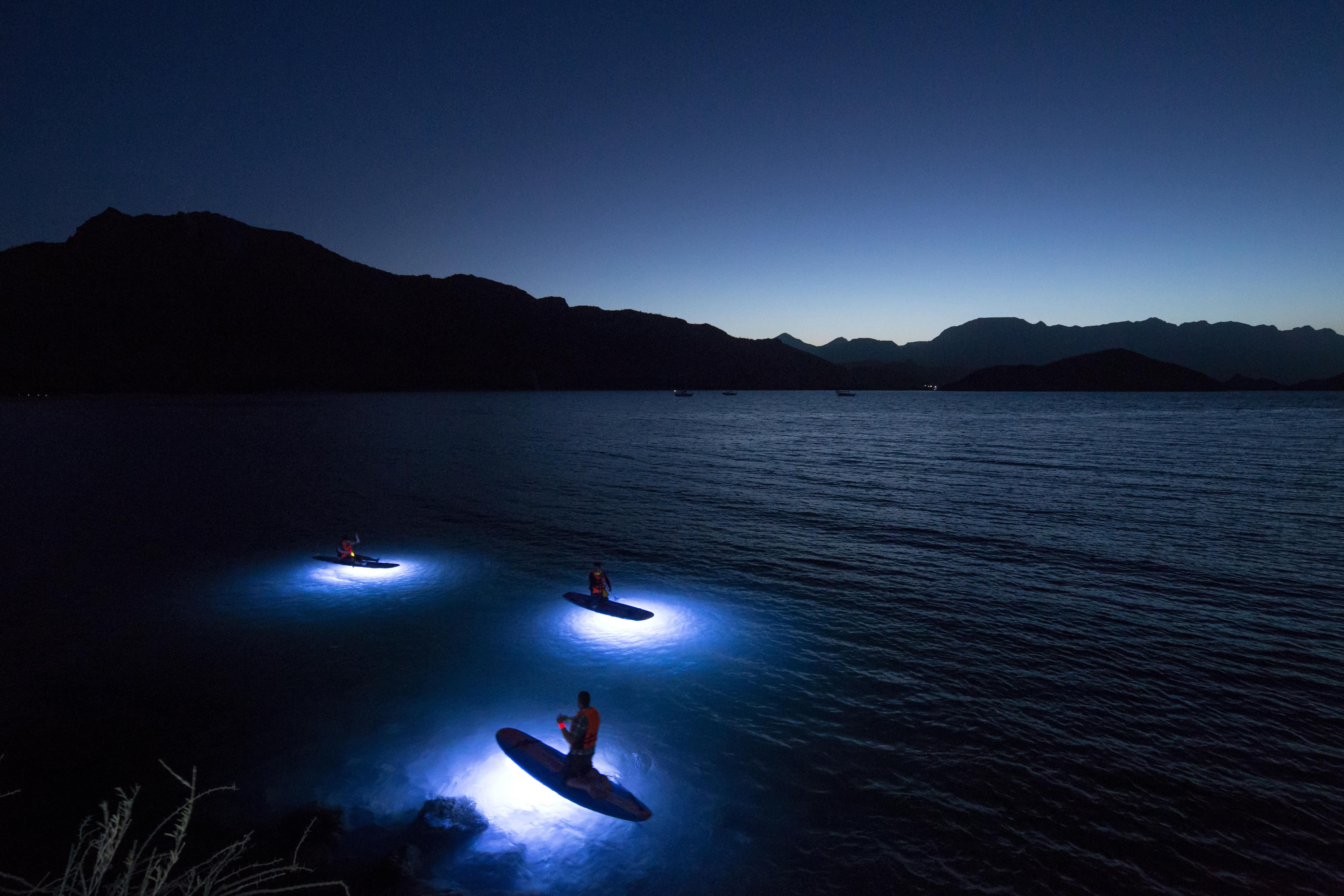 Villa Del Palmar At The Islands Of Loreto Loreto  Buitenkant foto