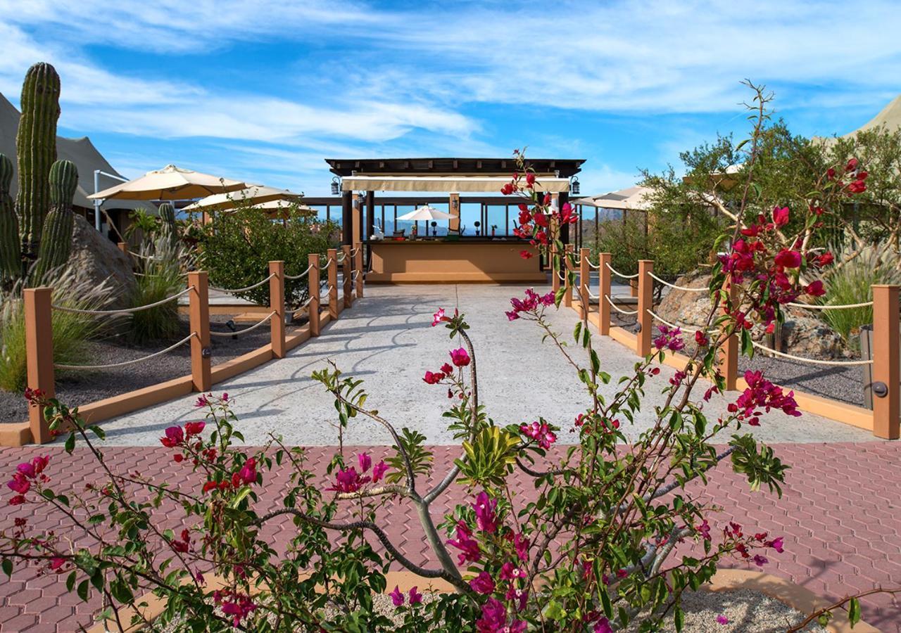 Villa Del Palmar At The Islands Of Loreto Loreto  Buitenkant foto